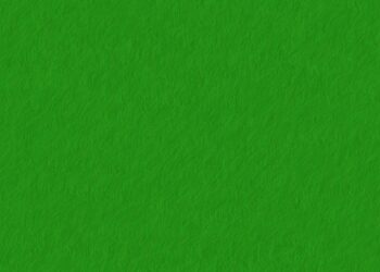 Top 7 Sustainable Investment Strategies Every Beginner Should Know