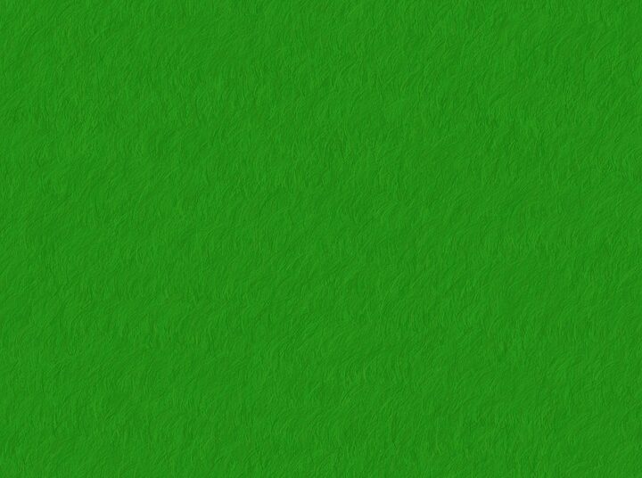 Top 7 Sustainable Investment Strategies Every Beginner Should Know