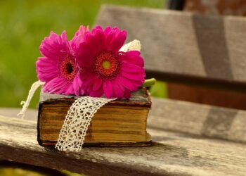 Top 7 Tips on How to Choose a Bank: Make Your Money Work for You