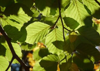 Top 7 Tips on How to Get a Personal Loan Quickly and Easily