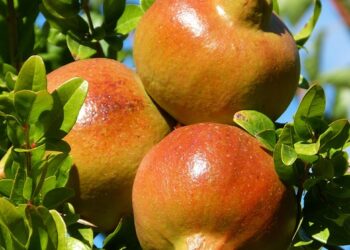 Understanding Lean FIRE: What It Is and How It Can Transform Your Financial Life