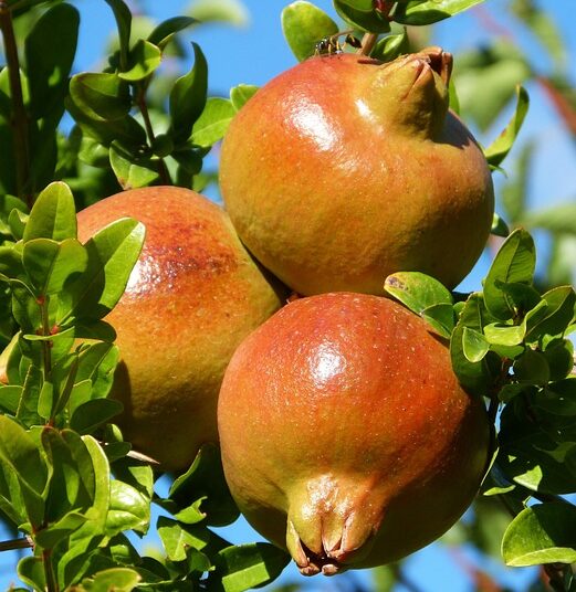 Understanding Lean FIRE: What It Is and How It Can Transform Your Financial Life Understanding Lean FIRE: What It Is and How It Can Transform Your Financial Life