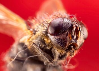 What is the Compound Effect Targeting? A Comprehensive Guide to Maximizing Your Results