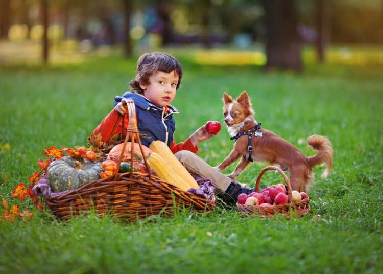 10 Easy Ways to Explain Net Worth to Your Friends Without Confusion