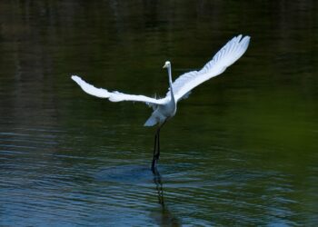 10 Emergency Fund Mistakes Everyone Makes (And How to Fix Them)