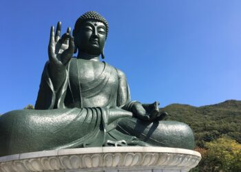 10 Essential Facts About How Are Dividends Paid That Every Investor Should Know