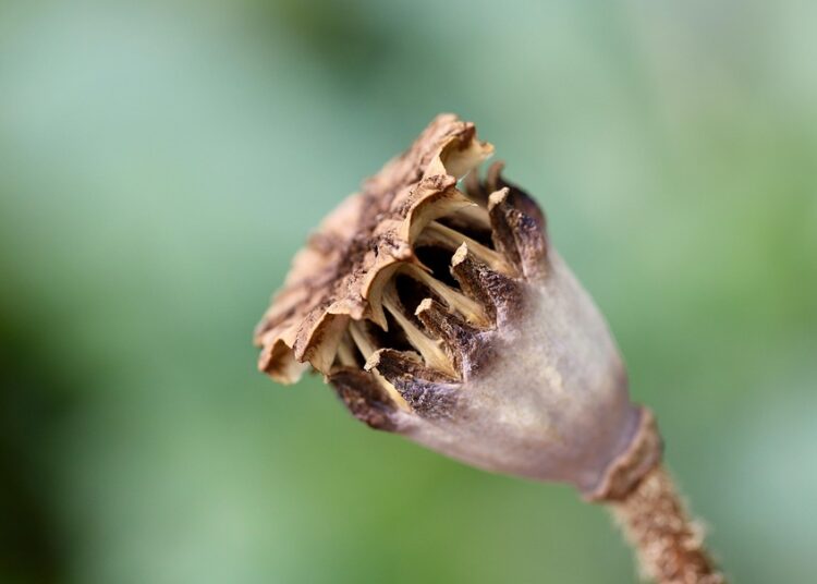 10 Essential Pieces to Kickstart Your Capsule Wardrobe Today