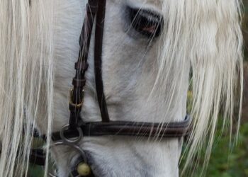 10 Essential Steps to Help You Plan for a Big Purchase Without Regret