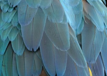 10 Essential Templates Targeting Techniques Every Marketer Should Know