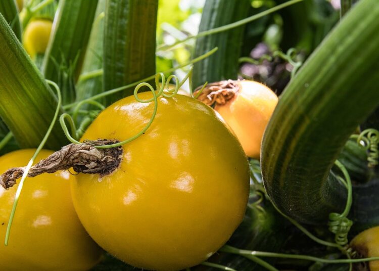 10 Essential Tips for Choosing the Right Debt Consolidation Loan for You