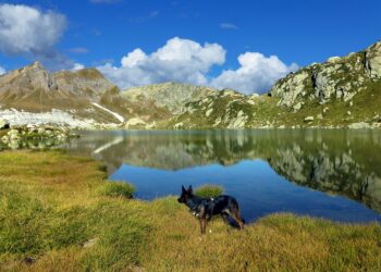 10 Essential Tips for Managing Your High-Yield Savings Account Effectively