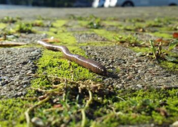 10 Essential Tips for Rebuilding Your Credit After Bankruptcy: A Comprehensive List