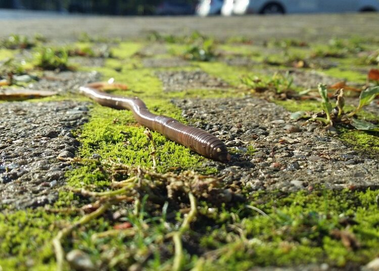 10 Essential Tips for Rebuilding Your Credit After Bankruptcy: A Comprehensive List