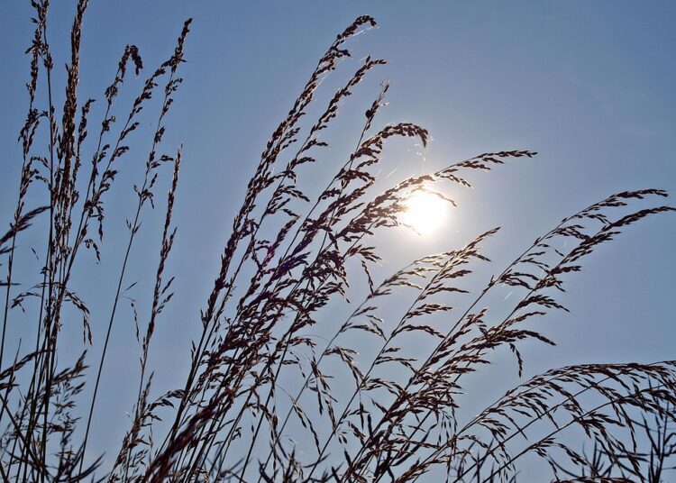 10 Essential Tips for Seamless Healthcare Management in Your Early Retirement Years