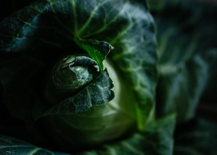 10 Essential Tips on How to Budget for Groceries Without Sacrificing Quality