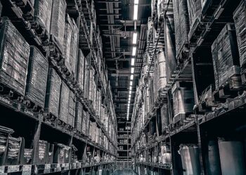 10 Essential Tips on How to Build a Stock Portfolio That Thrives