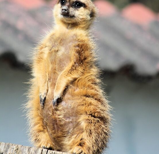 10 Essential Tools to Help You Track Investments and Boost Your Net Worth 10 Essential Tools to Help You Track Investments and Boost Your Net Worth