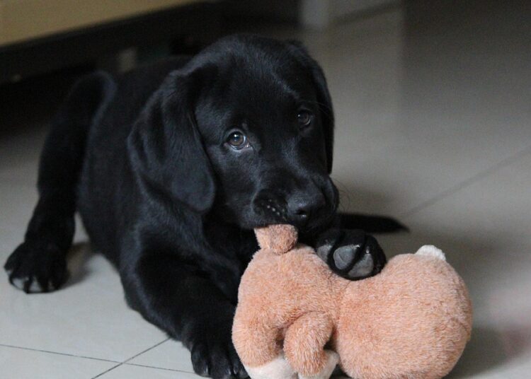 10 High-Demand Items You Can Sell on Etsy Right Now