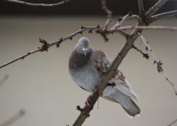 10 Powerful Strategies to Conquer Money Shame and Embrace Financial Freedom