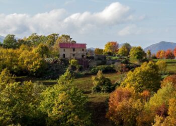 10 Proven Strategies to Rebuild Your Credit Score After Bankruptcy