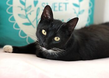 10 Reasons Why Your Pension Plays a Crucial Role in Determining Your Net Worth