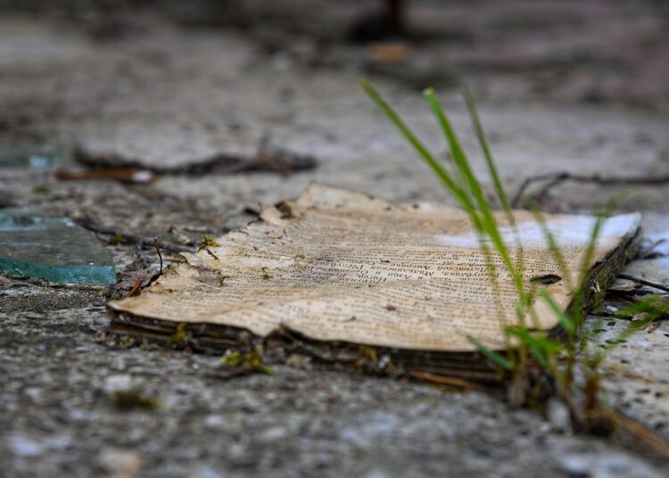 10 Reasons Why a Dropshipping Side Hustle Could Change Your Financial Future