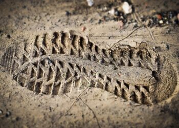 10 Simple Lifestyle Changes to Slash Your Carbon Footprint and Save Money