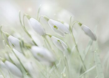 10 Surprising Psychological Benefits of Choosing Early Retirement