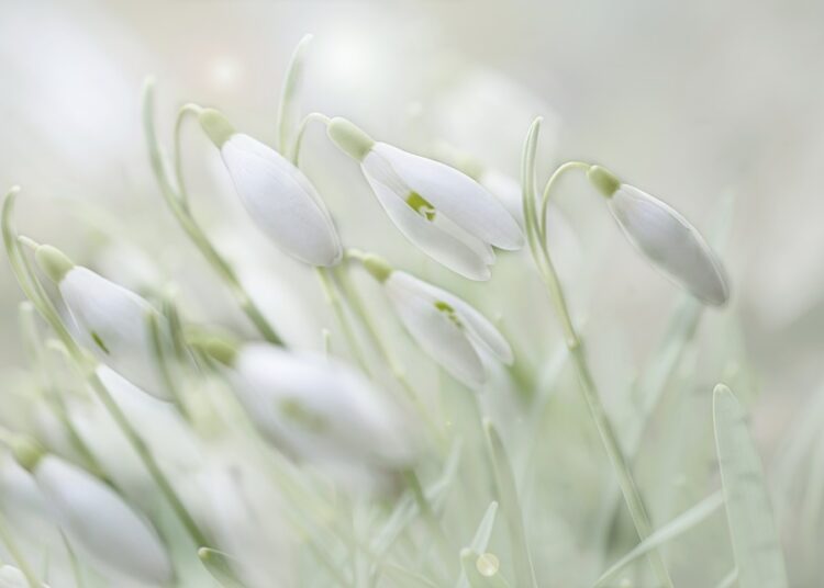 10 Surprising Psychological Benefits of Choosing Early Retirement 10 Surprising Psychological Benefits of Choosing Early Retirement