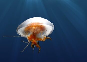 10 Surprising Ways Your Credit Score Influences Major Life Decisions