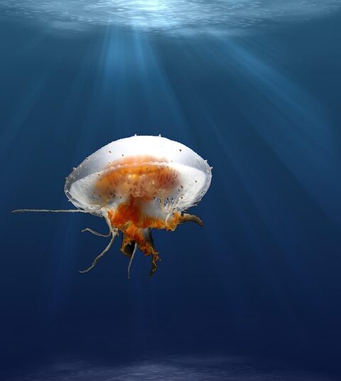 10 Surprising Ways Your Credit Score Influences Major Life Decisions 10 Surprising Ways Your Credit Score Influences Major Life Decisions