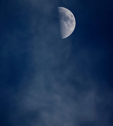 5 Essential Tips on How to Choose Your First Investment Without the Overwhelm 5 Essential Tips on How to Choose Your First Investment Without the Overwhelm