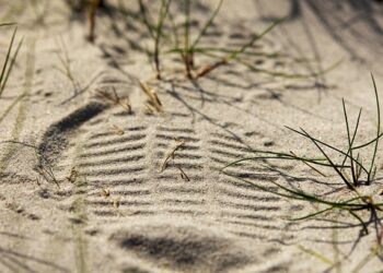 5 Hidden Terms in High-Yield Savings Accounts: Understanding the Fine Print to Maximize Your Earnings