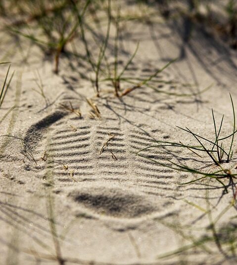 5 Hidden Terms in High-Yield Savings Accounts: Understanding the Fine Print to Maximize Your Earnings 5 Hidden Terms in High-Yield Savings Accounts: Understanding the Fine Print to Maximize Your Earnings