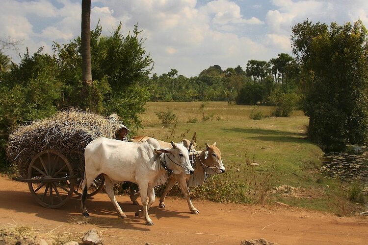 5 Key Benefits of Choosing a Conventional Loan for Your Home Purchase