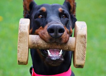 5 Key Benefits of Making Catch-Up Contributions to Boost Your Retirement Savings