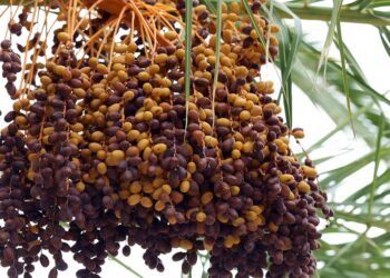 5 Key Benefits of Target-Date Funds: Is It Right for Your Retirement?