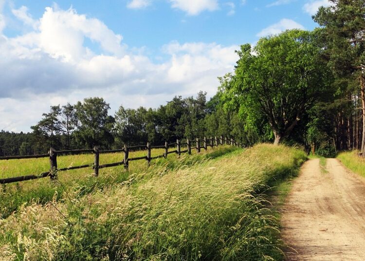 5 Key Benefits of a SEP IRA: Why Robo-Advisors Recommend It for Small Business Owners