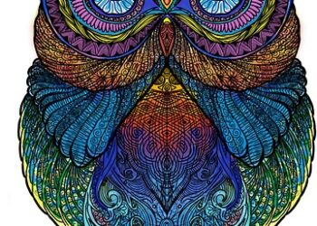 5 Key Differences Between Target-Date Funds and DIY Portfolios: What You Need to Know