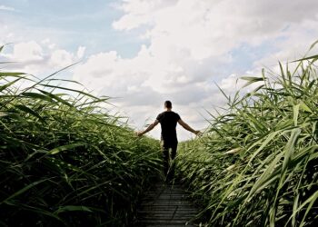 5 Key Reasons High Net Worth Investors Are Turning to Robo-Advisors