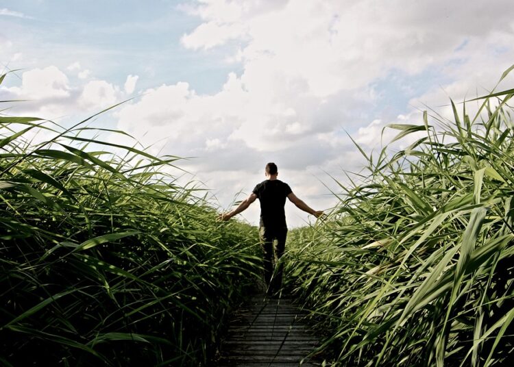 5 Key Reasons High Net Worth Investors Are Turning to Robo-Advisors