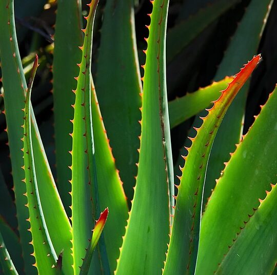 5 Key Sectors Where Growth ETFs Are Targeting Your Investment Dollars 5 Key Sectors Where Growth ETFs Are Targeting Your Investment Dollars