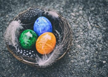 5 Key Steps to Create Your Retirement Nest Egg: A Beginner’s How-To Guide