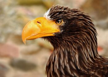 5 Life Stages That Dramatically Impact Your Net Worth: What to Know