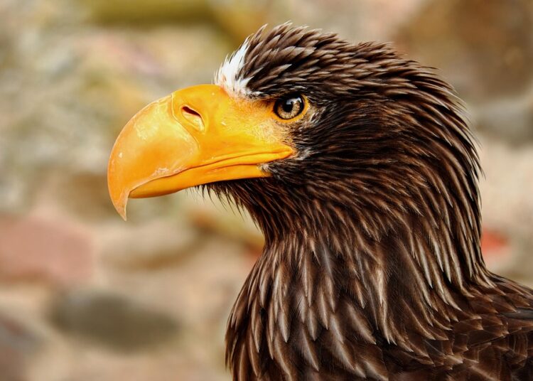 5 Life Stages That Dramatically Impact Your Net Worth: What to Know 5 Life Stages That Dramatically Impact Your Net Worth: What to Know