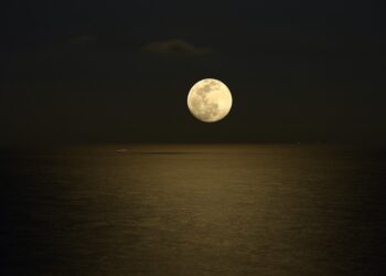 5 Proven Strategies on How to Manage Multiple Debts Without Losing Your Sanity