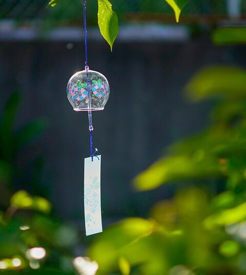 5 Reasons Why Chime Bank is Perfect for Budget-Conscious Savers