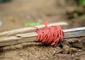 5 Reasons Why Crypto Staking Could Be Your Next Smart Investment