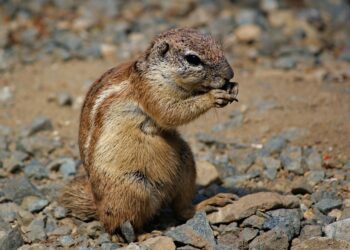 5 Reasons Why an Emergency Fund is a Financial Must-Have: What You Need to Know