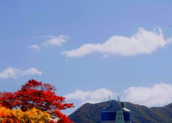 5 Steps to Effectively Adjust Your Financial Goals and Stay on Track